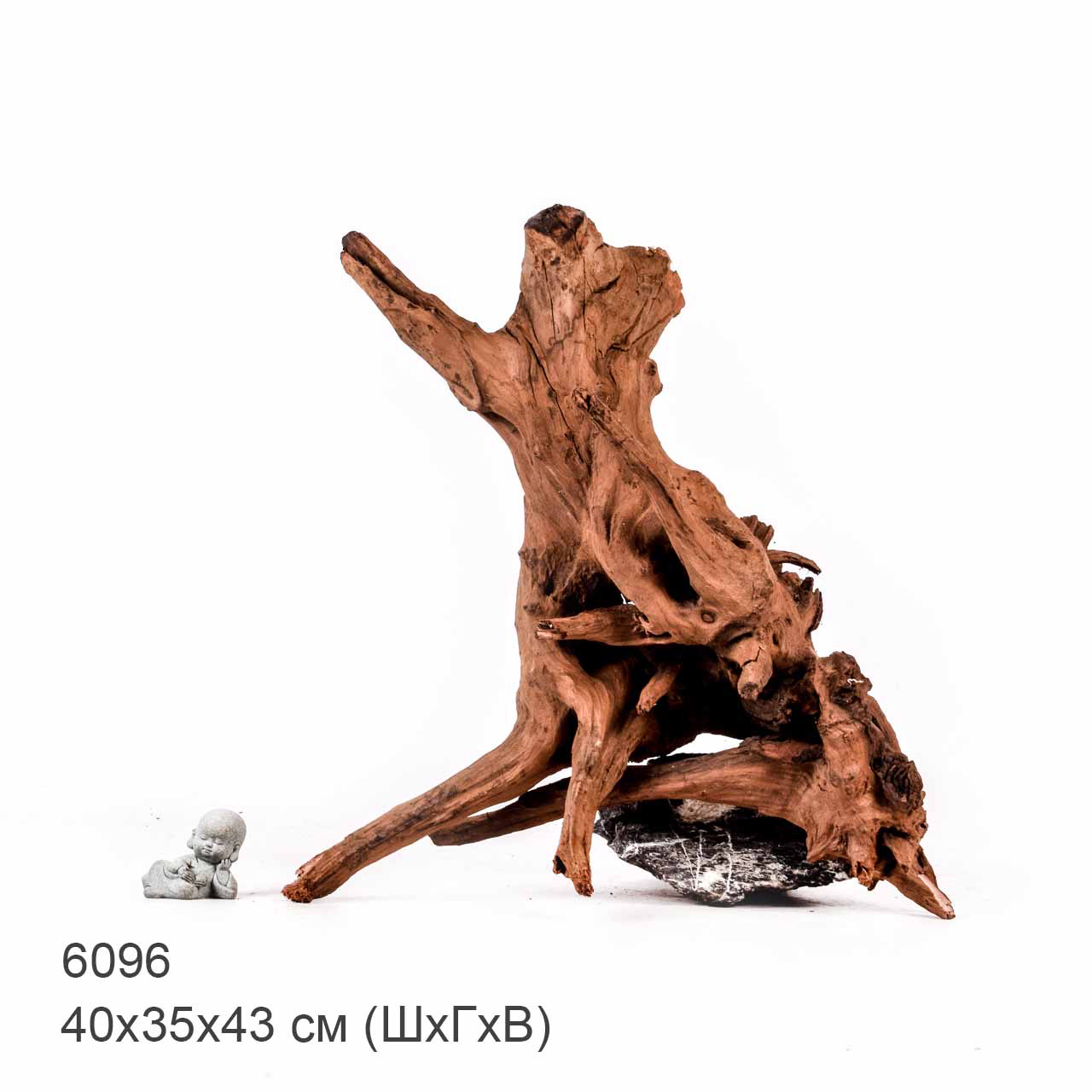 Коряга MASHA BLOOM "Железное дерево" затонувшая мангровая отборная 6096