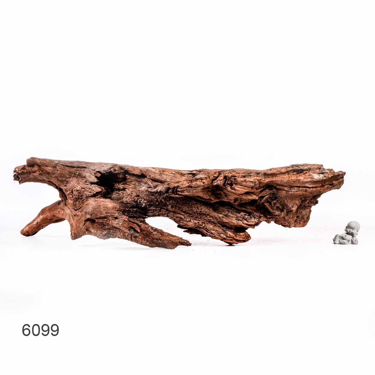 Коряга MASHA BLOOM "Железное дерево" затонувшая мангровая отборная 6099