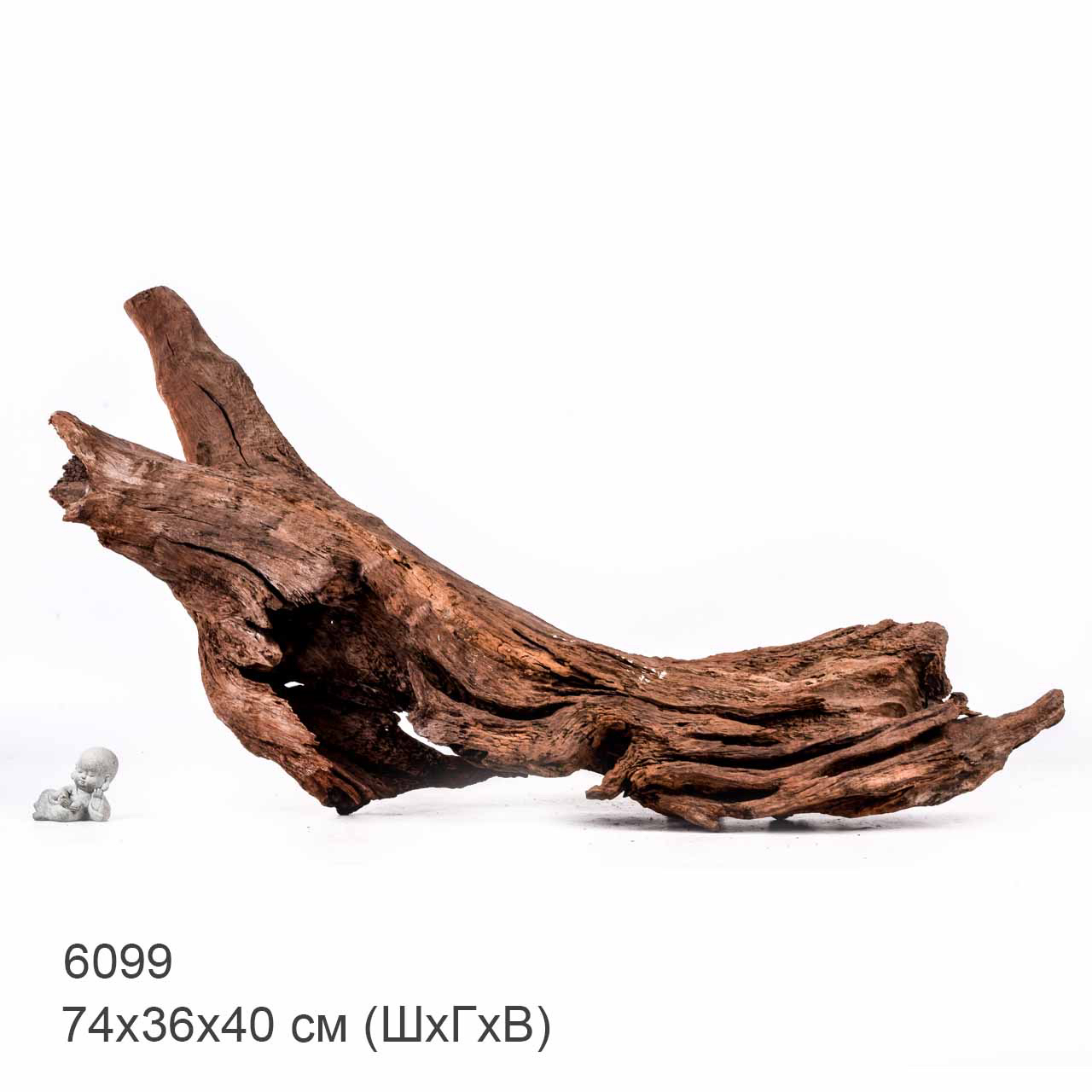 Коряга MASHA BLOOM "Железное дерево" затонувшая мангровая отборная 6099