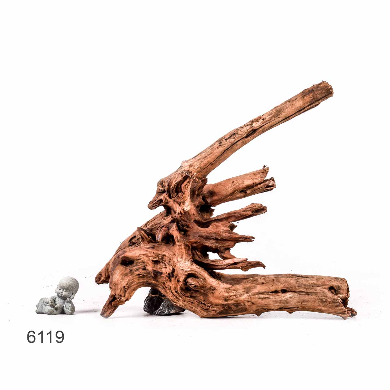 Коряга MASHA BLOOM "Железное дерево" затонувшая мангровая отборная 6119