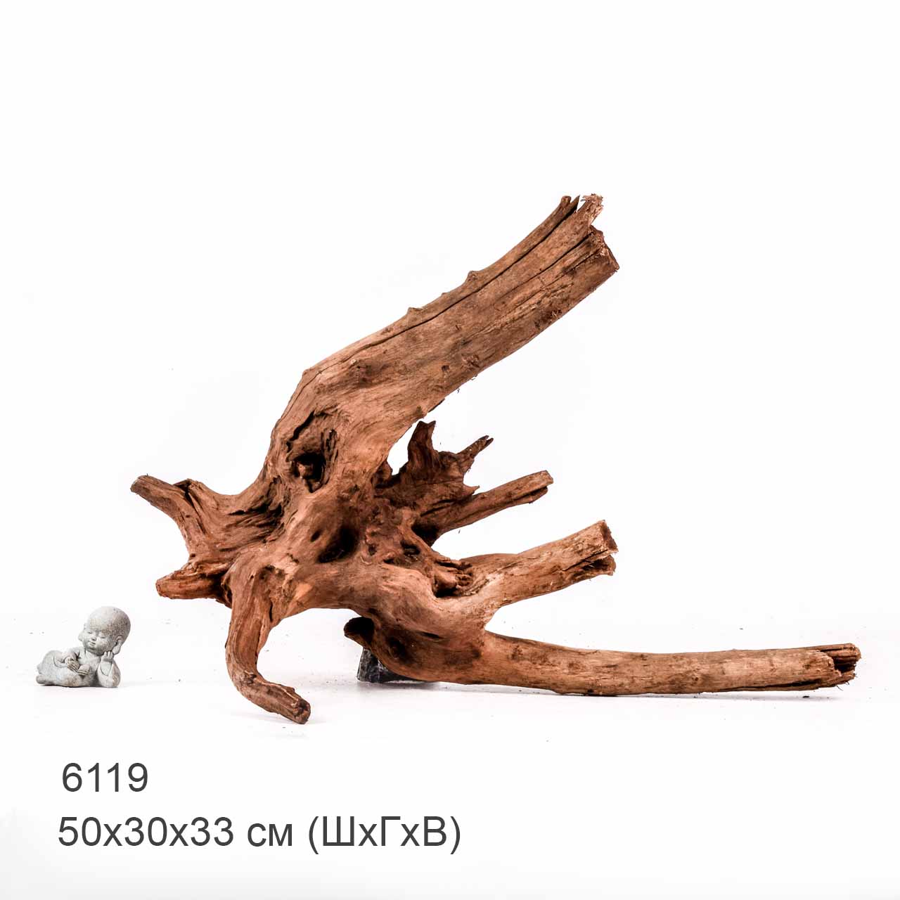 Коряга MASHA BLOOM "Железное дерево" затонувшая мангровая отборная 6119