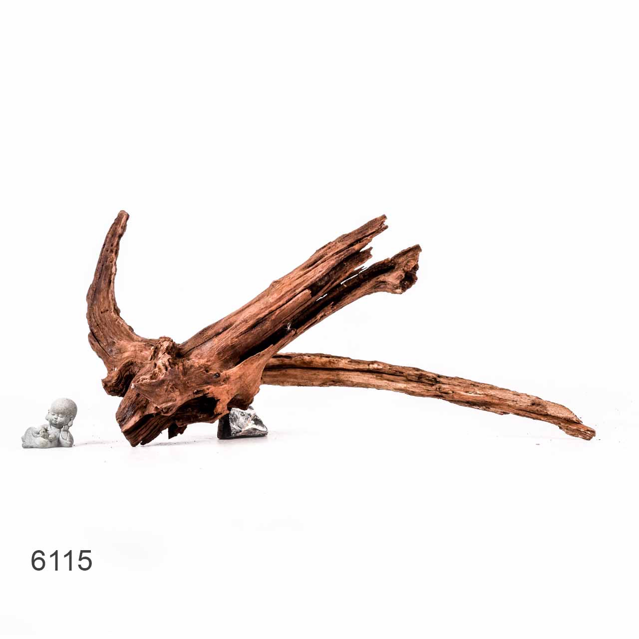 Коряга MASHA BLOOM "Железное дерево" затонувшая мангровая отборная 6115