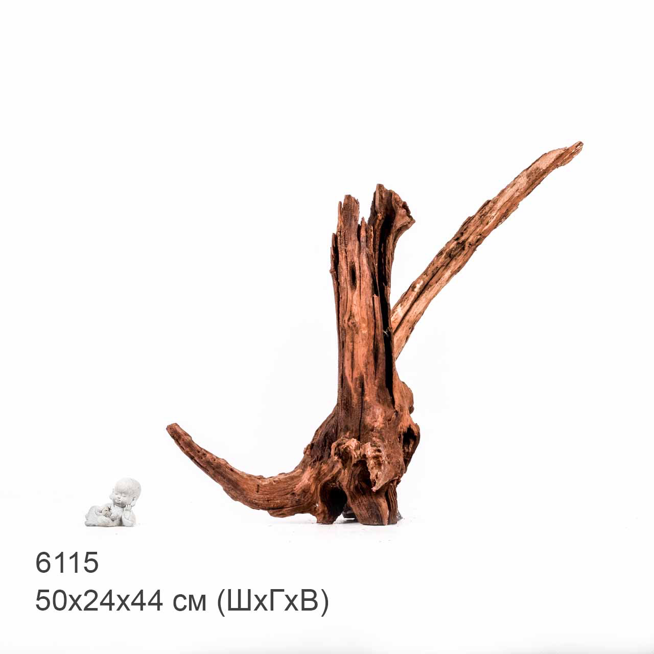 Коряга MASHA BLOOM "Железное дерево" затонувшая мангровая отборная 6115