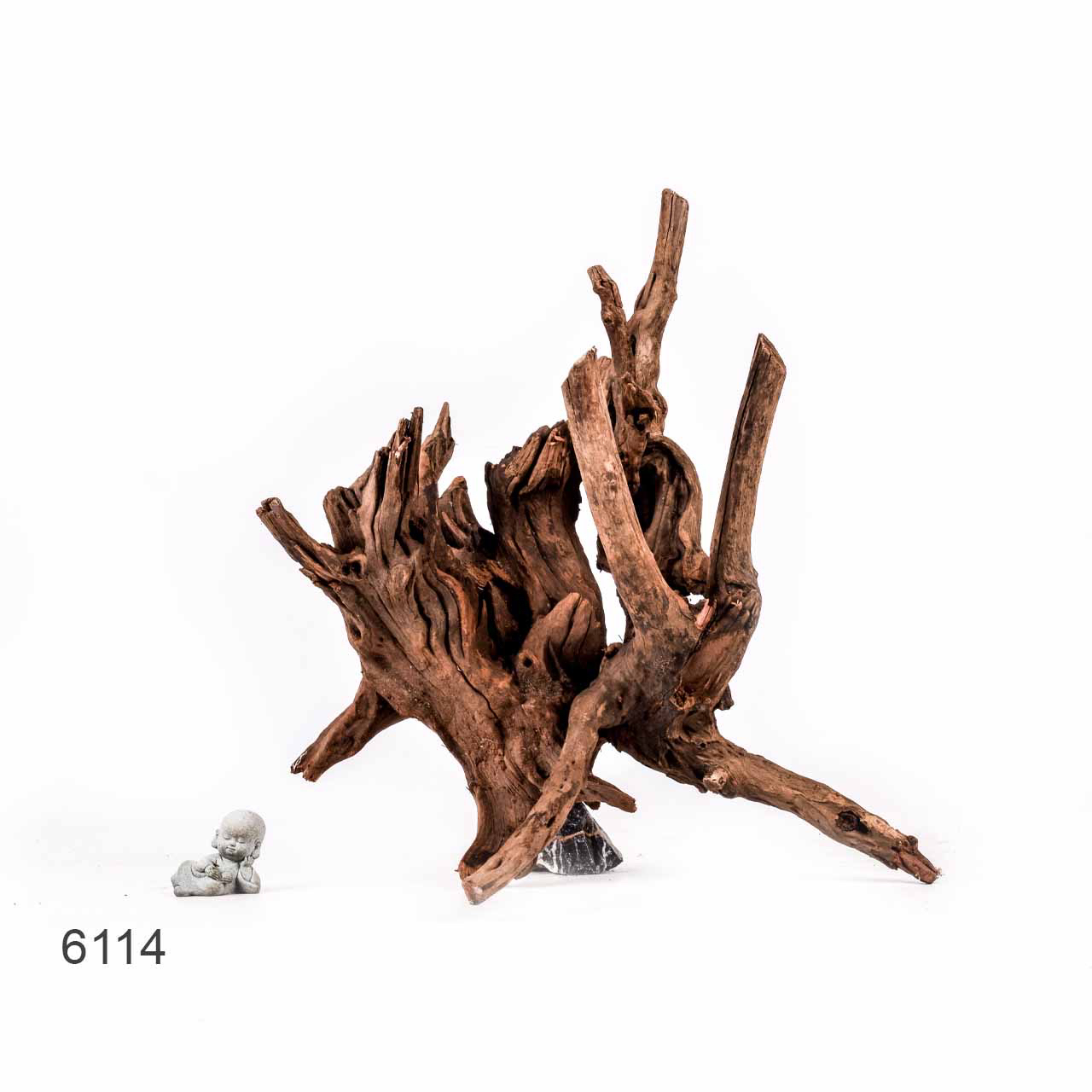 Коряга MASHA BLOOM "Железное дерево" затонувшая мангровая отборная 6114