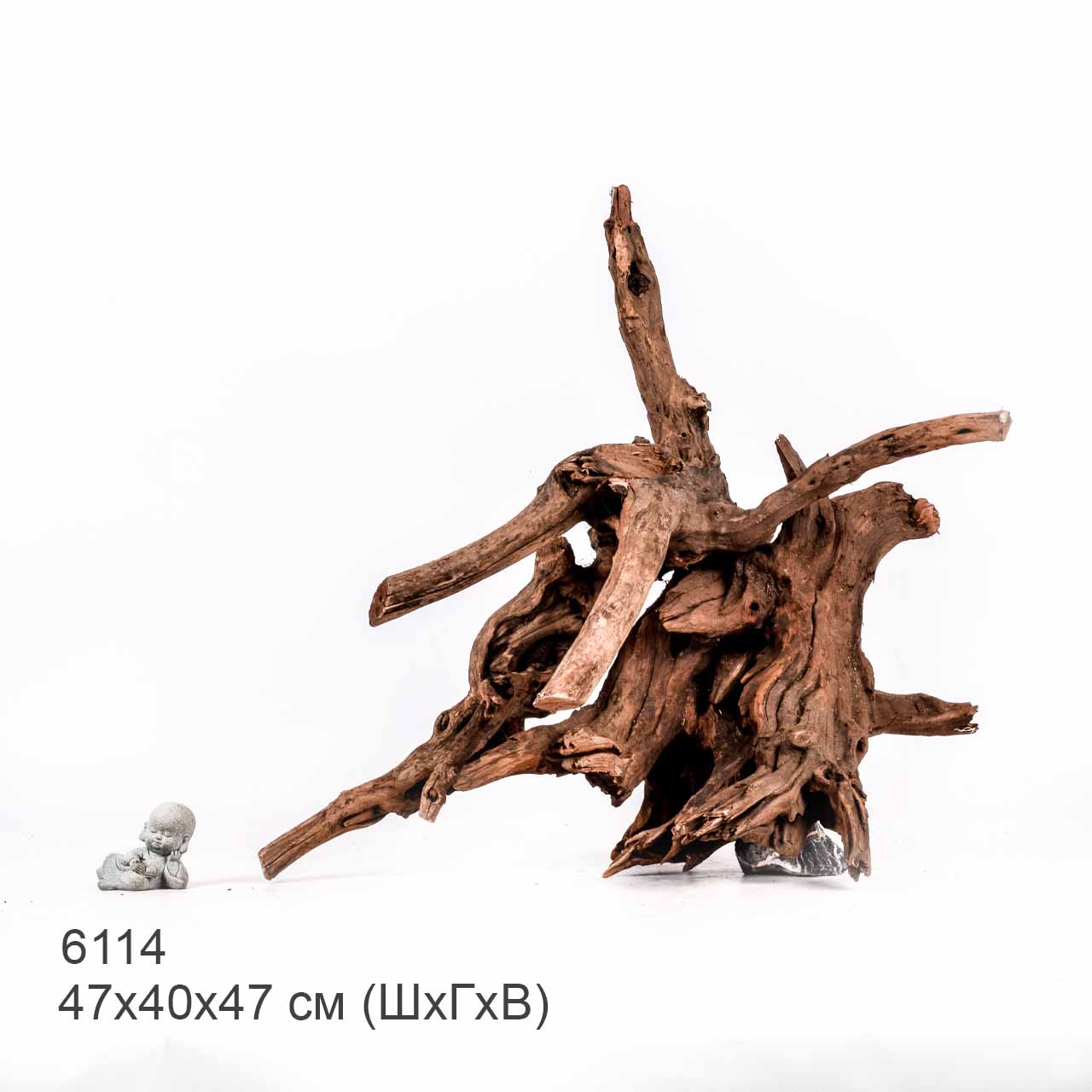 Коряга MASHA BLOOM "Железное дерево" затонувшая мангровая отборная 6114