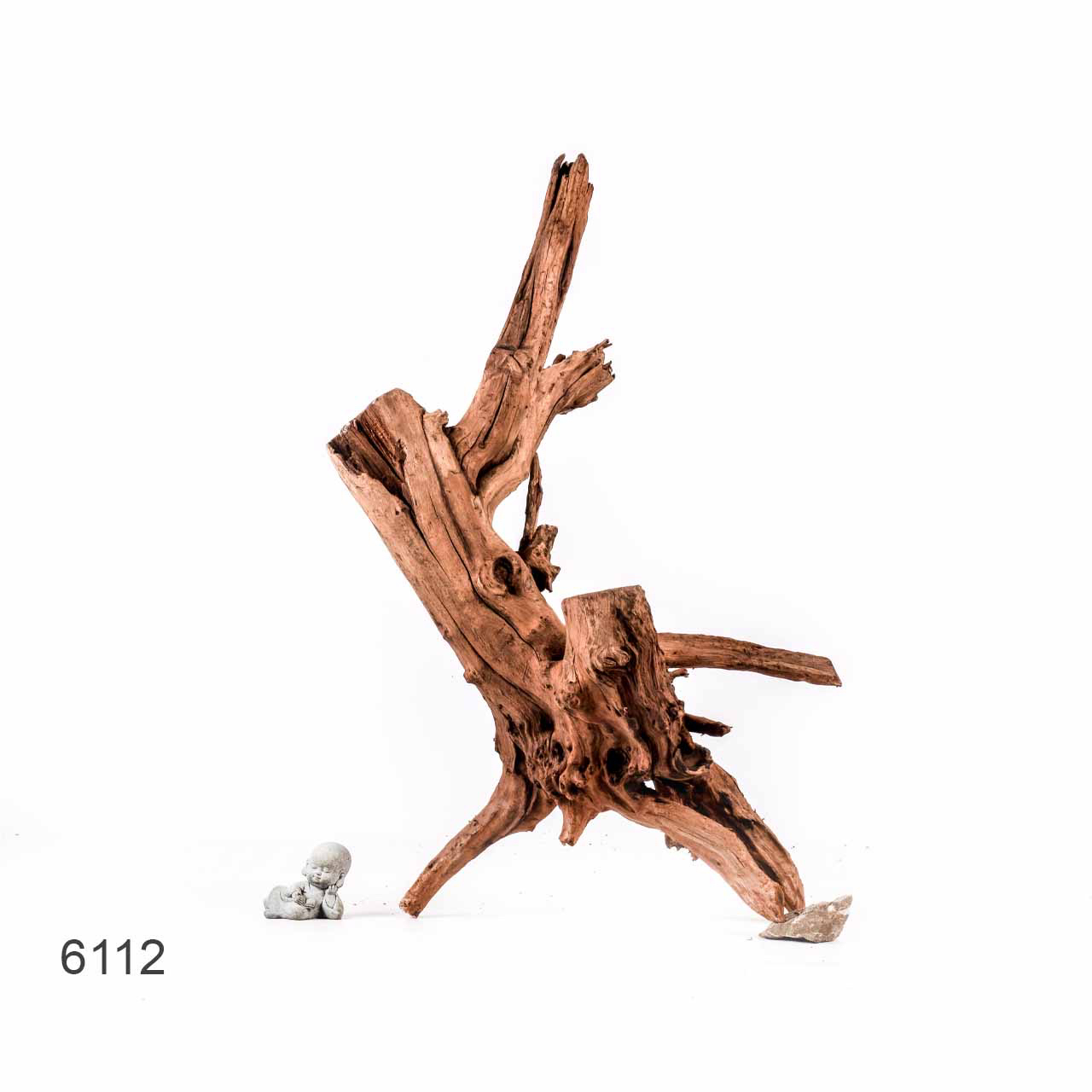 Коряга MASHA BLOOM "Железное дерево" затонувшая мангровая отборная 6112