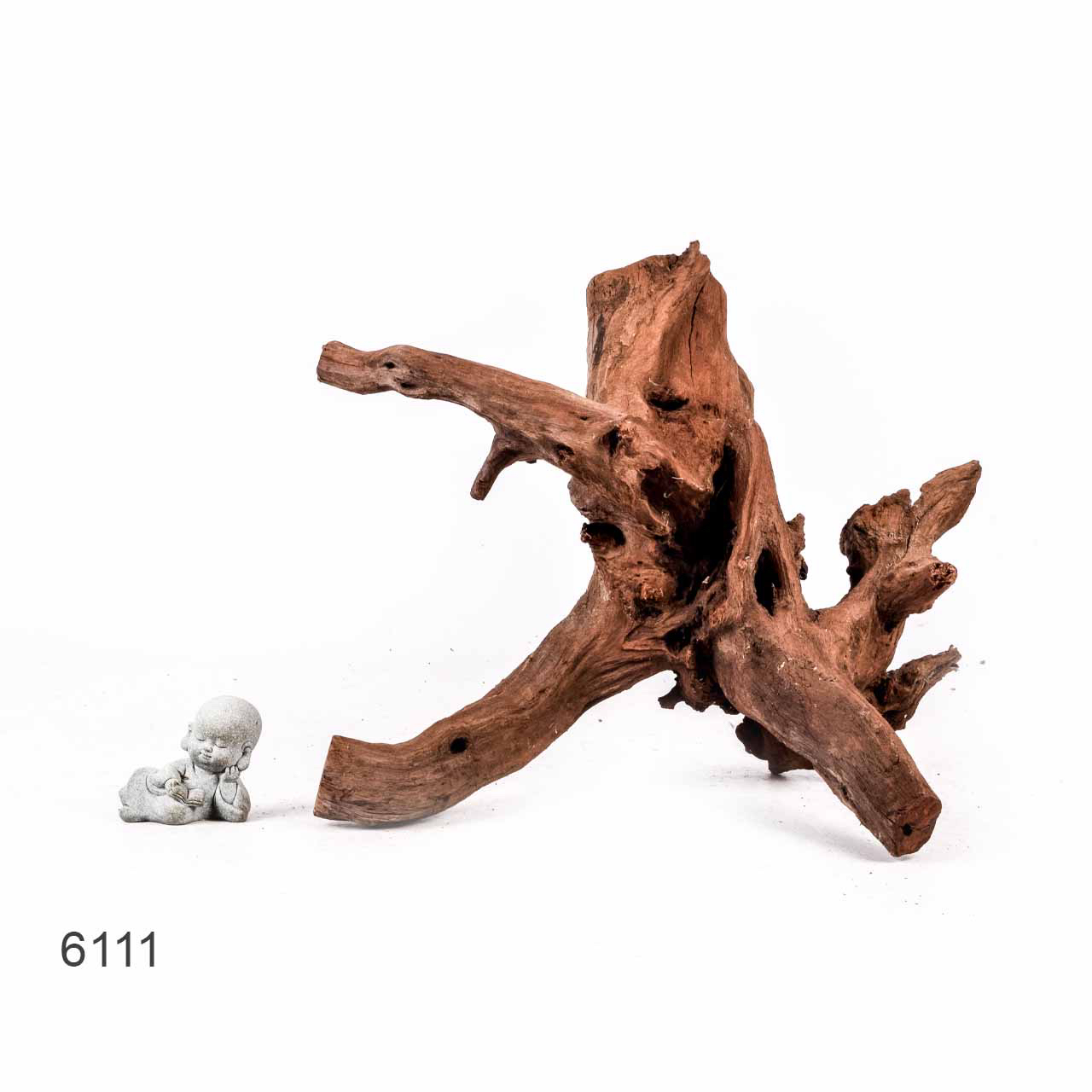 Коряга MASHA BLOOM "Железное дерево" затонувшая мангровая отборная 6111