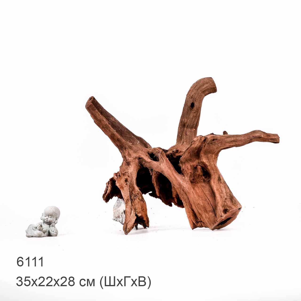 Коряга MASHA BLOOM "Железное дерево" затонувшая мангровая отборная 6111