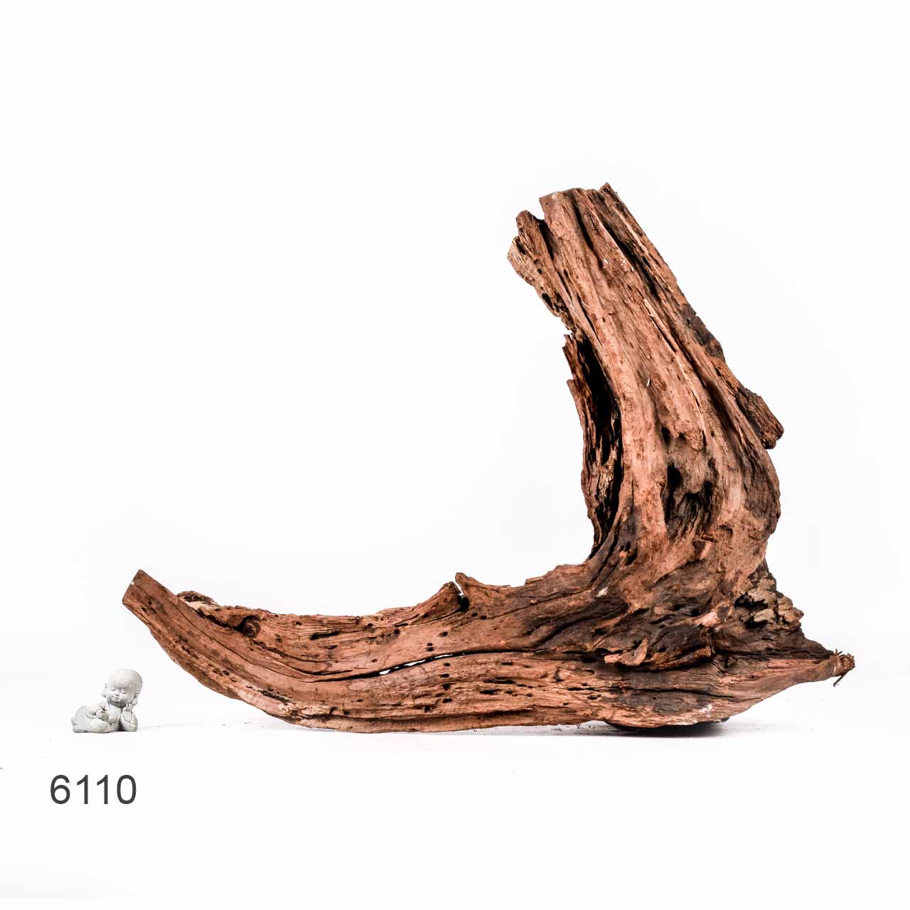 Коряга MASHA BLOOM "Железное дерево" затонувшая мангровая отборная 6110