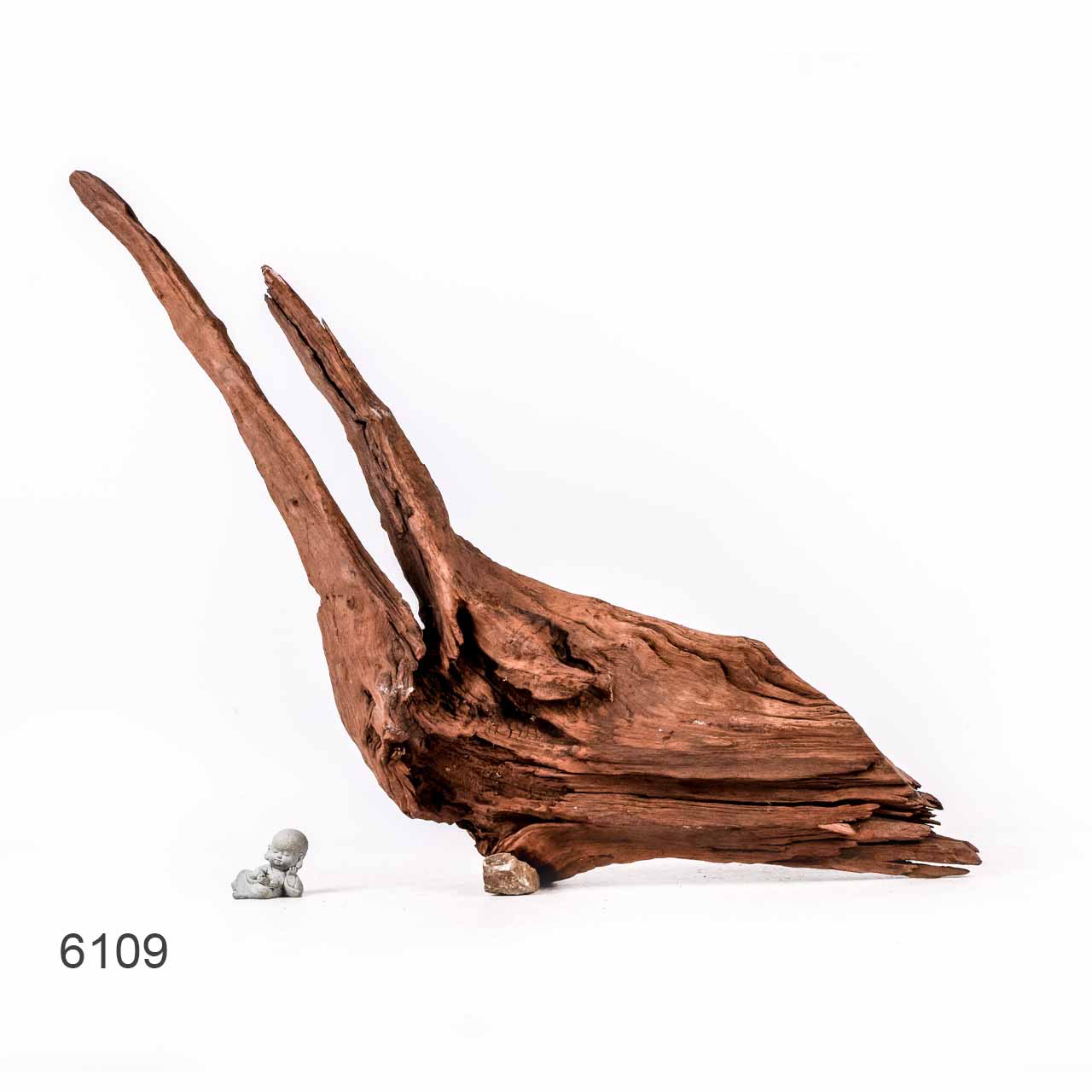 Коряга MASHA BLOOM "Железное дерево" затонувшая мангровая отборная 6109