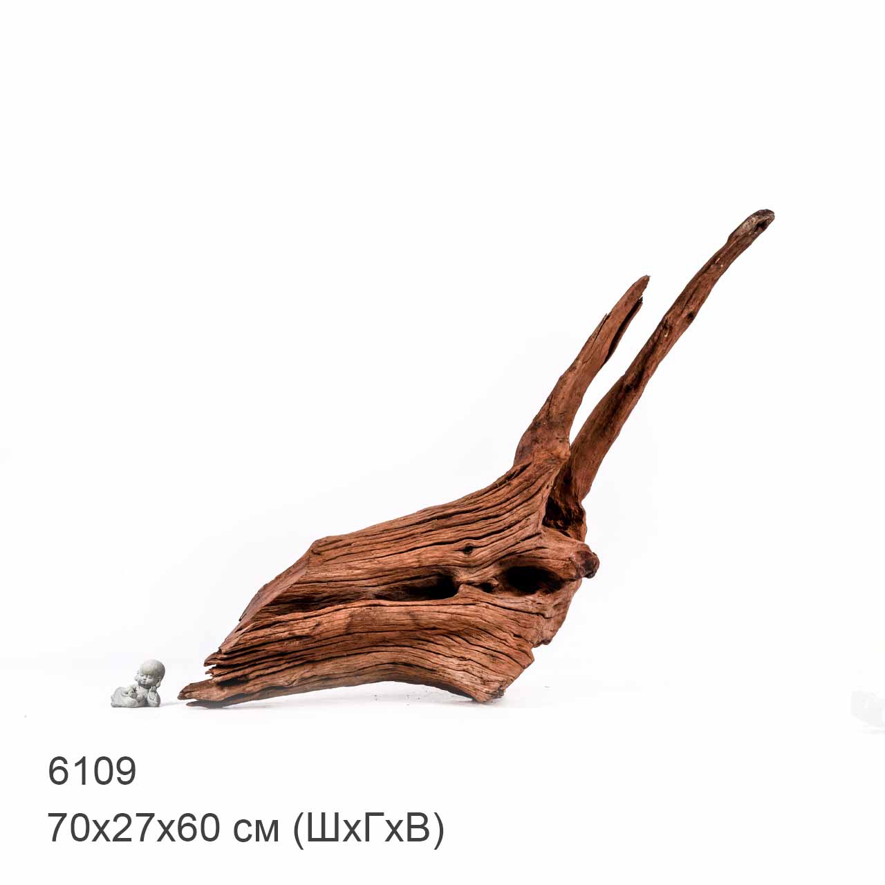 Коряга MASHA BLOOM "Железное дерево" затонувшая мангровая отборная 6109