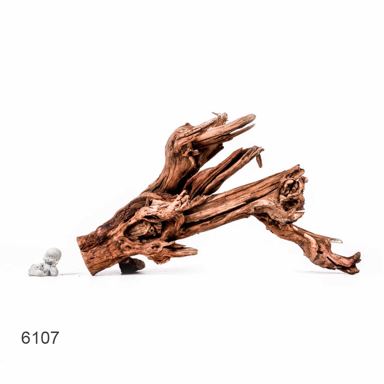 Коряга MASHA BLOOM "Железное дерево" затонувшая мангровая отборная 6107