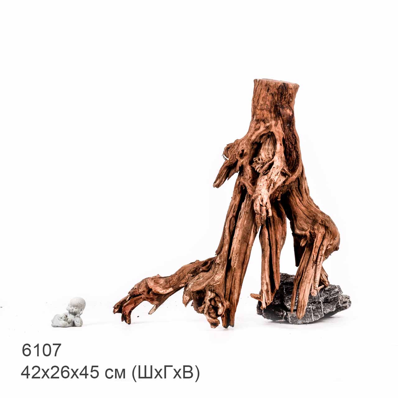 Коряга MASHA BLOOM "Железное дерево" затонувшая мангровая отборная 6107