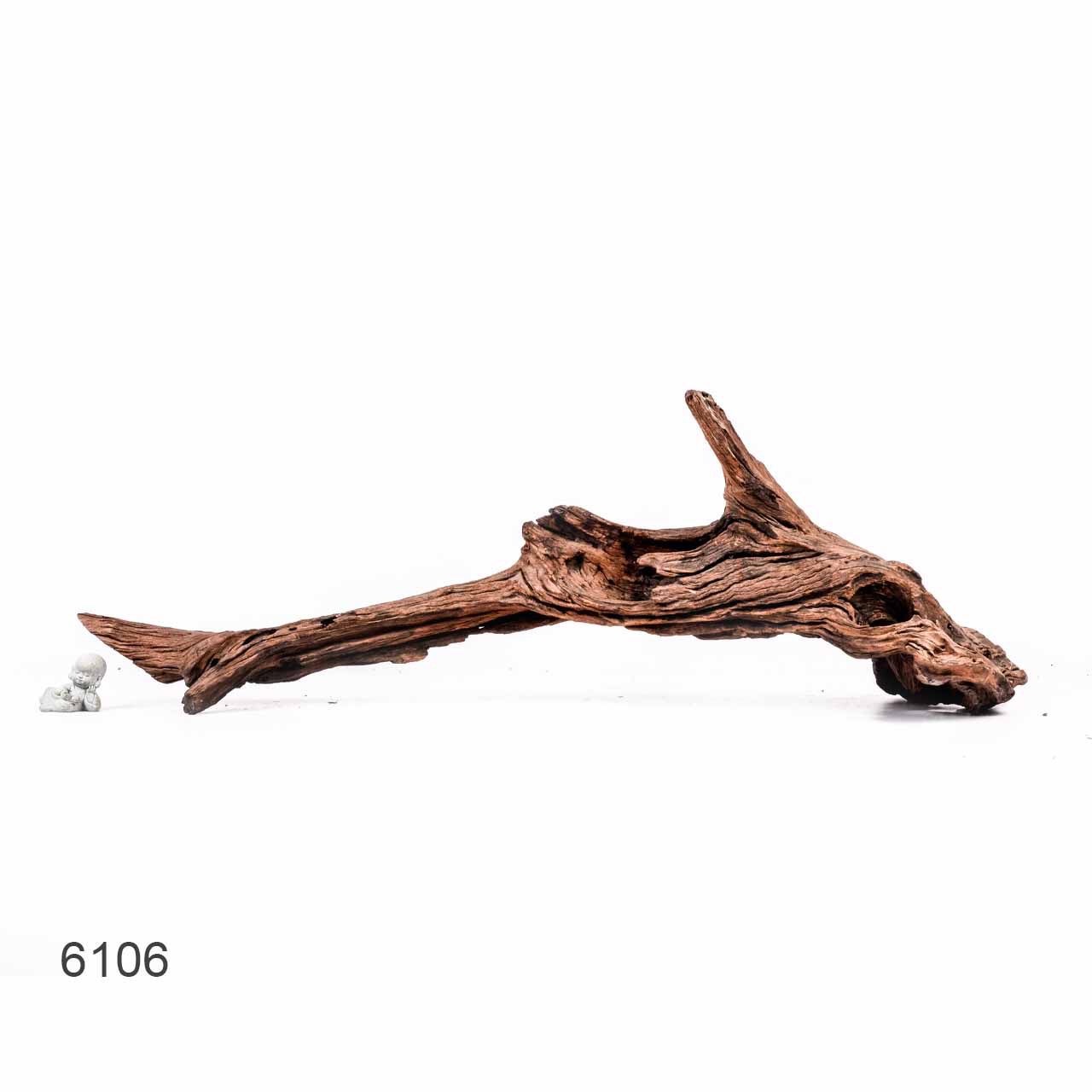 Коряга MASHA BLOOM "Железное дерево" затонувшая мангровая отборная 6106