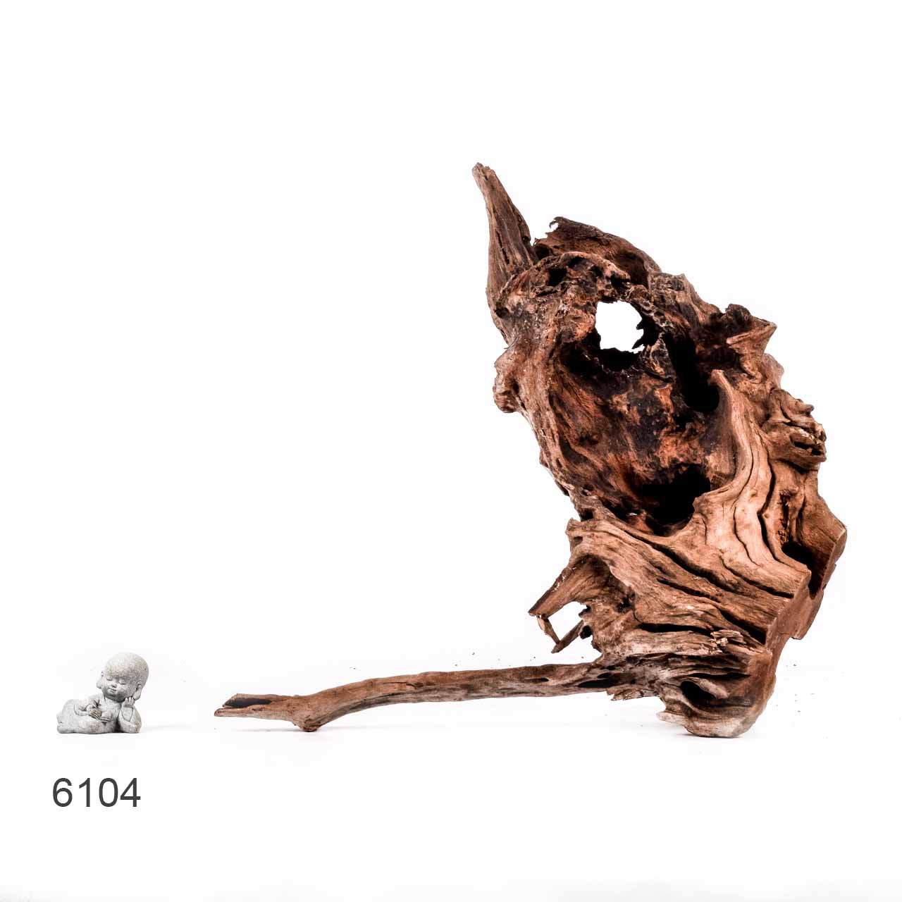 Коряга MASHA BLOOM "Железное дерево" затонувшая мангровая отборная 6104