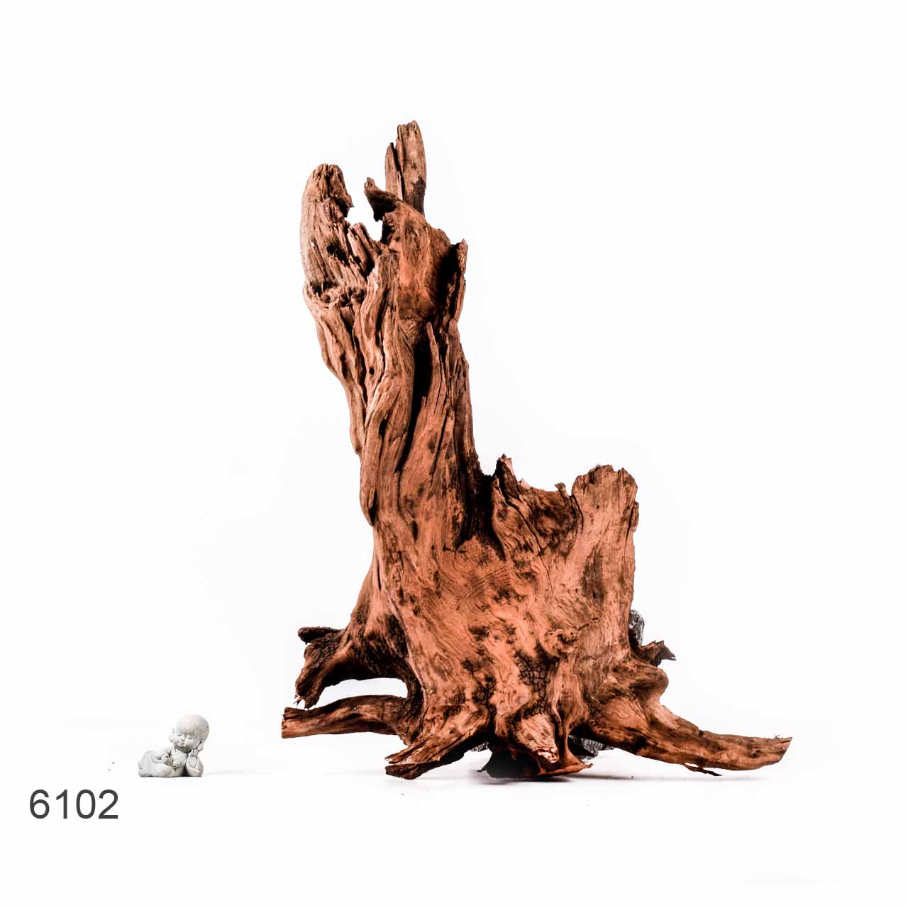 Коряга MASHA BLOOM "Железное дерево" затонувшая мангровая отборная 6102