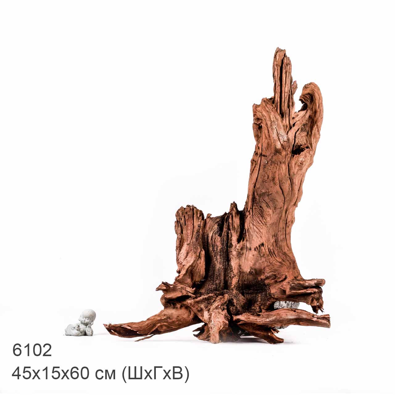 Коряга MASHA BLOOM "Железное дерево" затонувшая мангровая отборная 6102