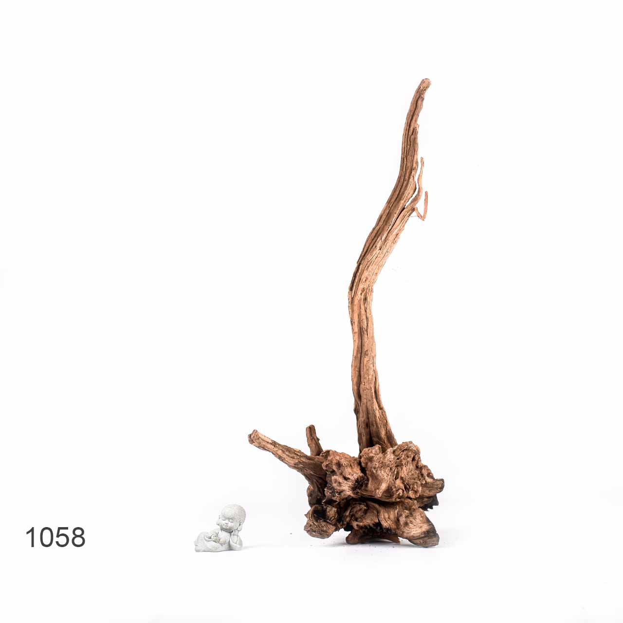 Коряга MASHA BLOOM "Железное дерево" затонувшая мангровая XXL - 1058