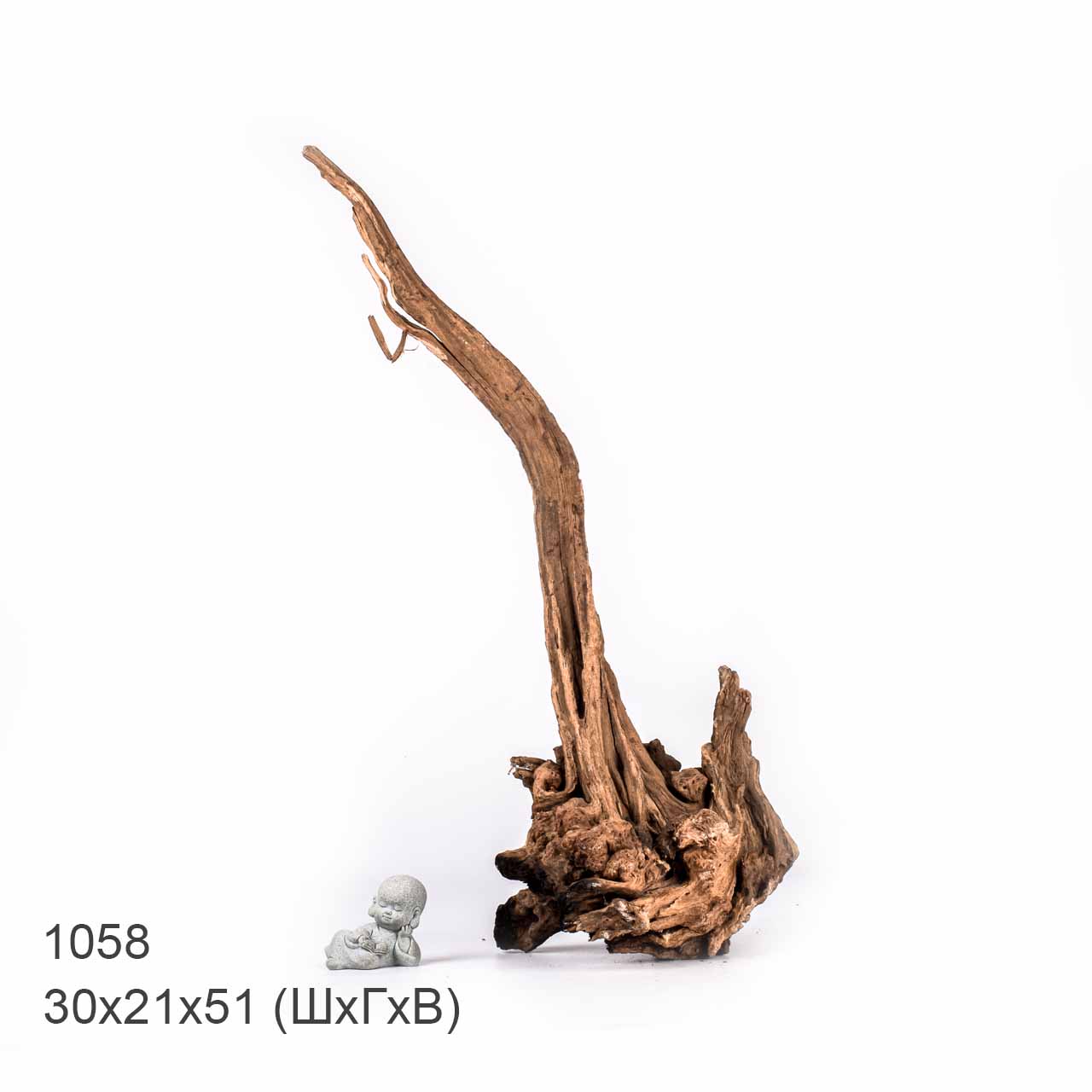 Коряга MASHA BLOOM "Железное дерево" затонувшая мангровая XXL - 1058