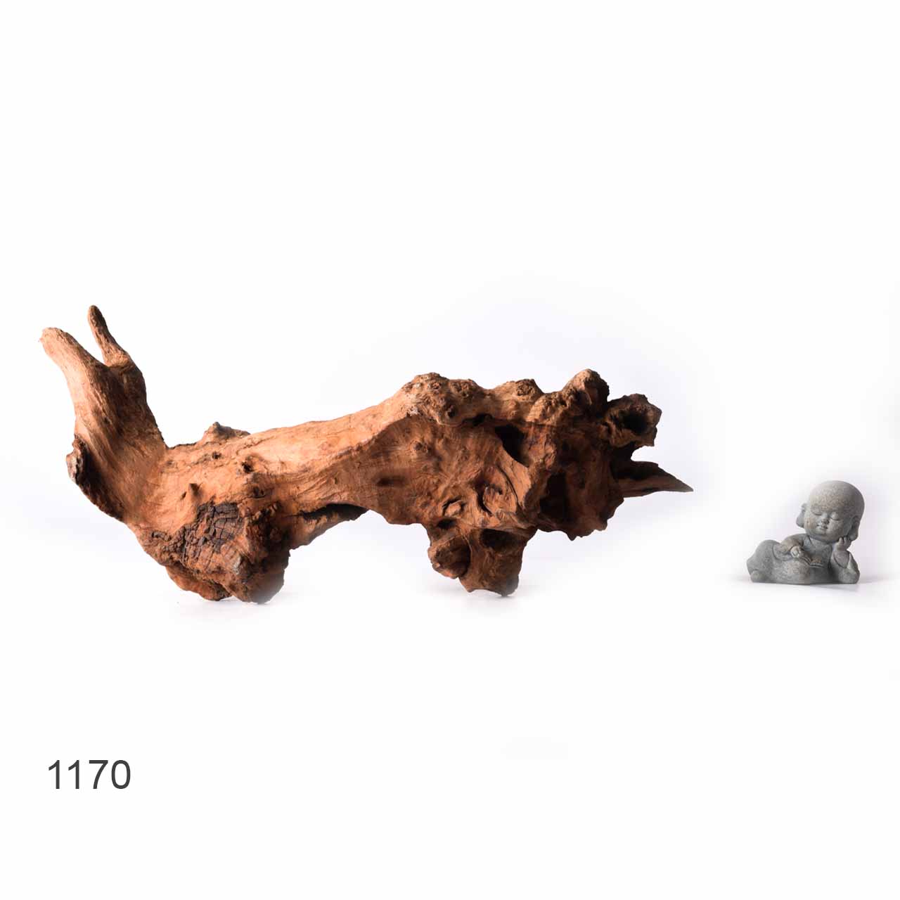 Коряга MASHA BLOOM "Железное дерево" затонувшая мангровая XL - 1170