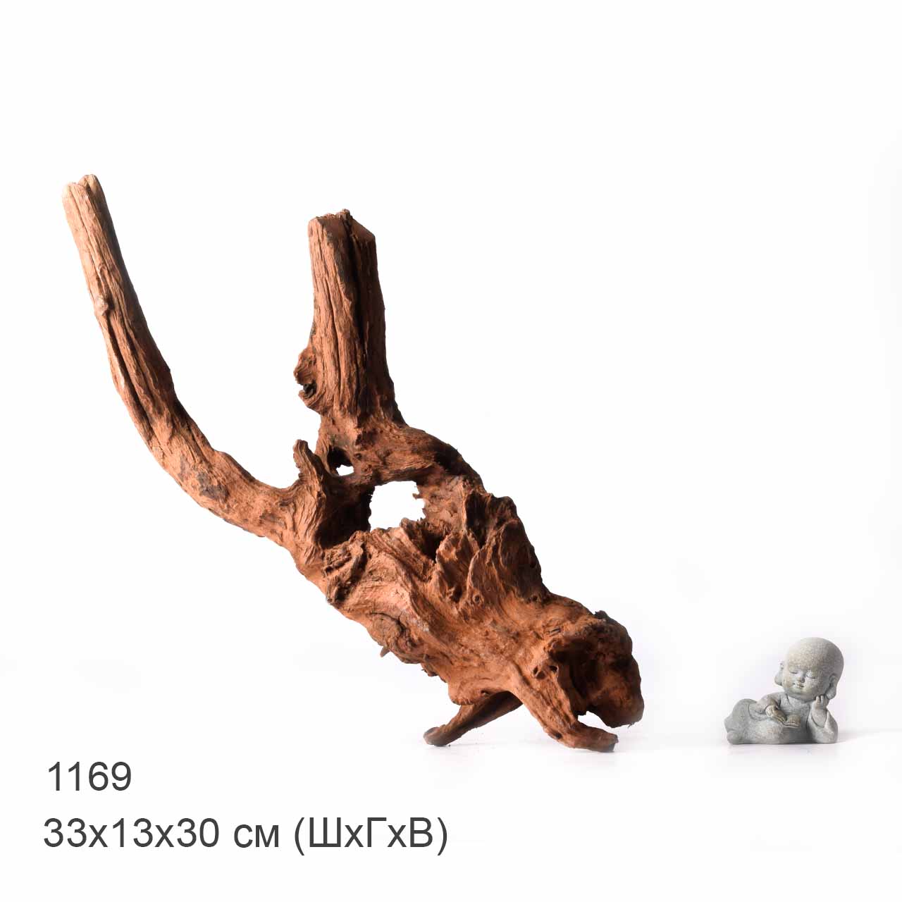 Коряга MASHA BLOOM "Железное дерево" затонувшая мангровая XL - 1169