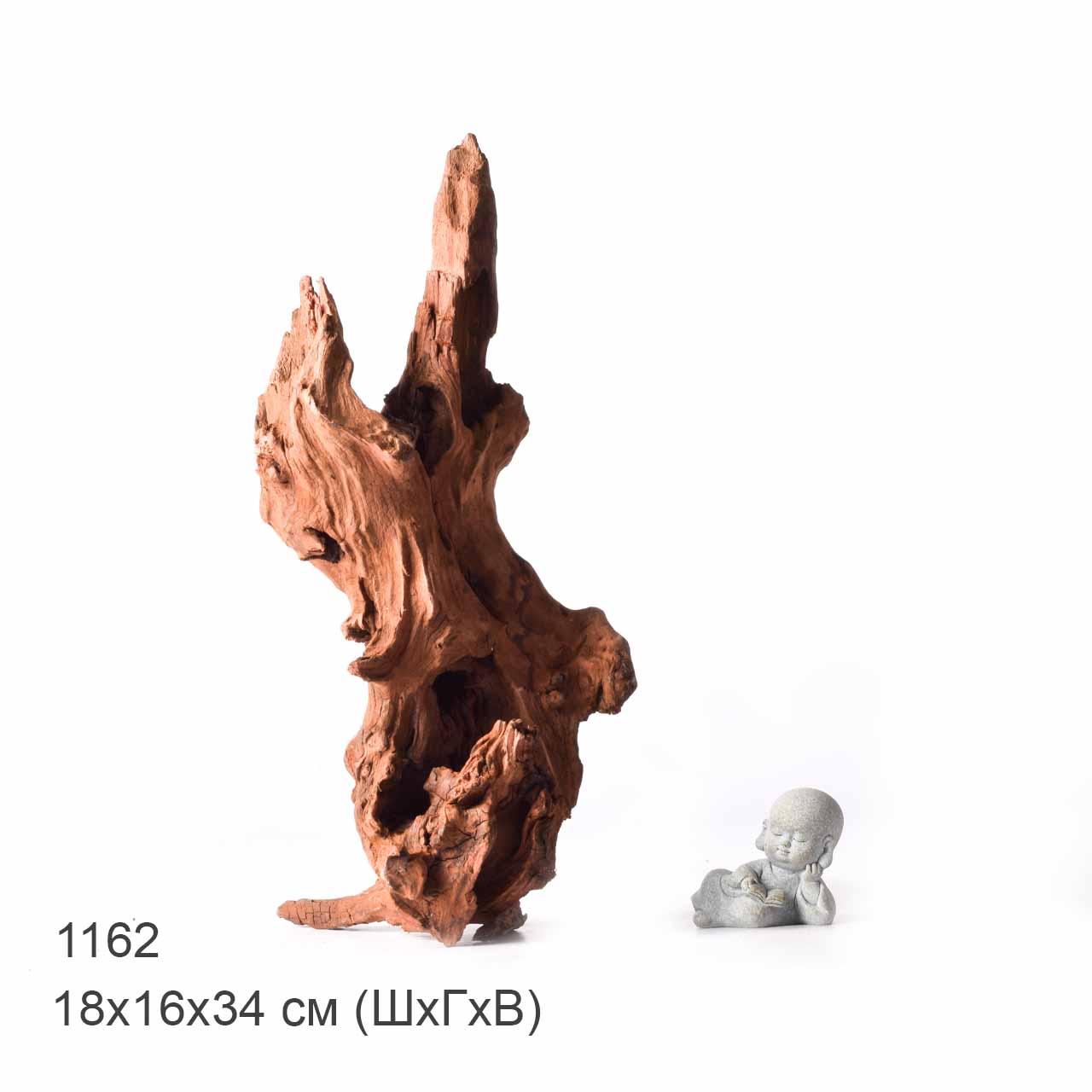 Коряга MASHA BLOOM "Железное дерево" затонувшая мангровая XL - 1162