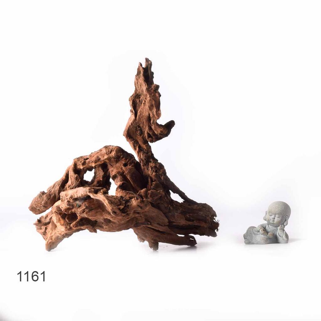 Коряга MASHA BLOOM "Железное дерево" затонувшая мангровая XL - 1161