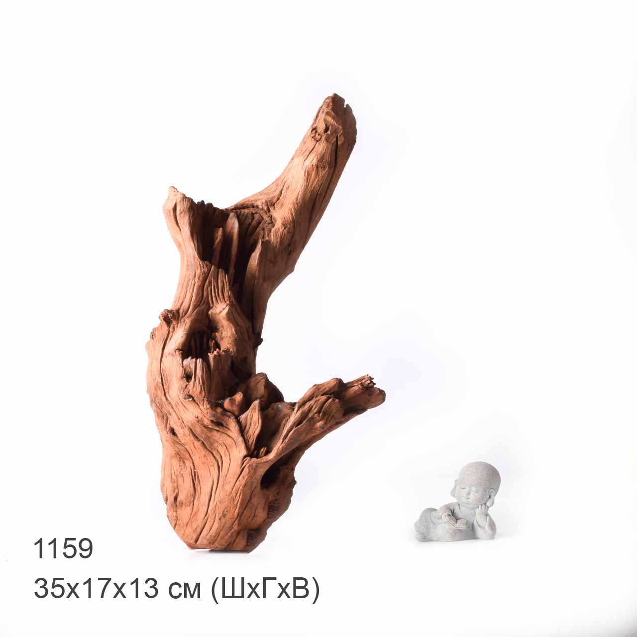 Коряга MASHA BLOOM "Железное дерево" затонувшая мангровая XL - 1159