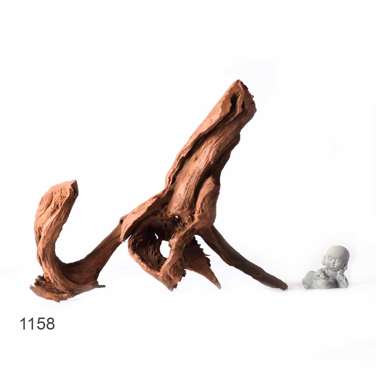 Коряга MASHA BLOOM "Железное дерево" затонувшая мангровая XL - 1158