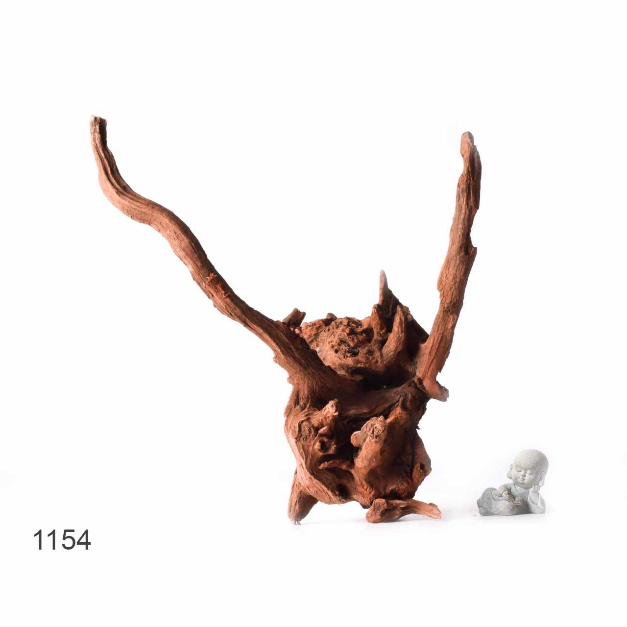 Коряга MASHA BLOOM "Железное дерево" затонувшая мангровая XL - 1154