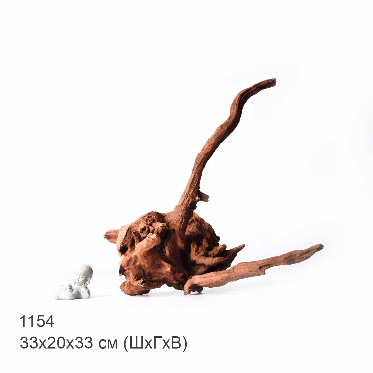 Коряга MASHA BLOOM "Железное дерево" затонувшая мангровая XL - 1154