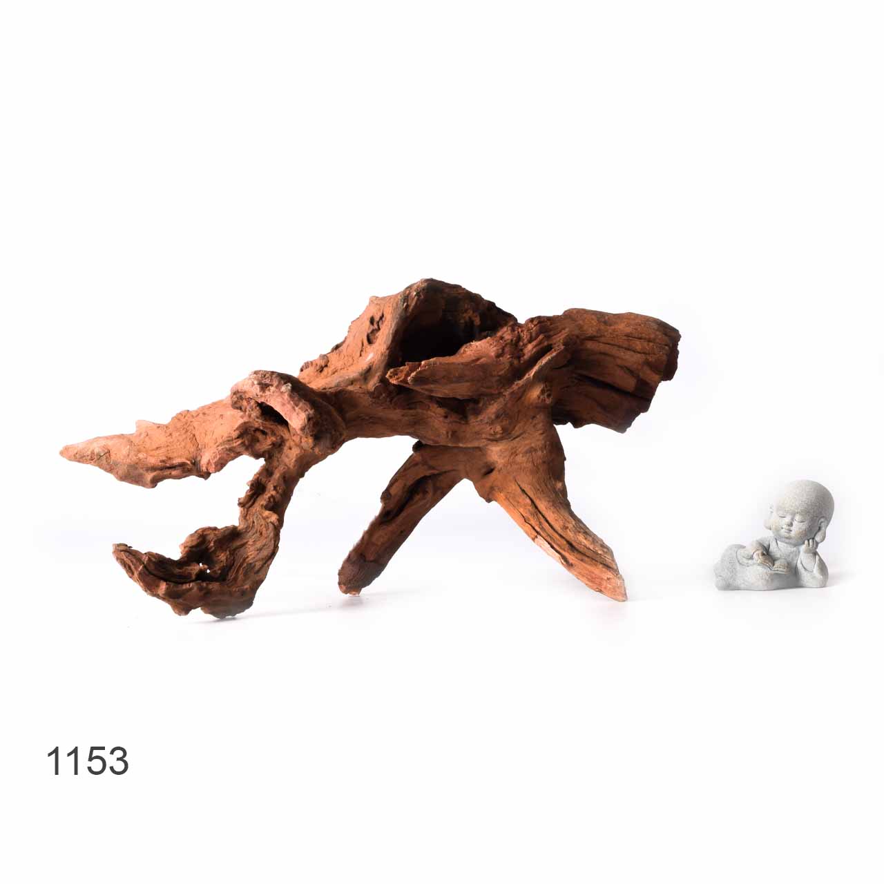 Коряга MASHA BLOOM "Железное дерево" затонувшая мангровая XL - 1153