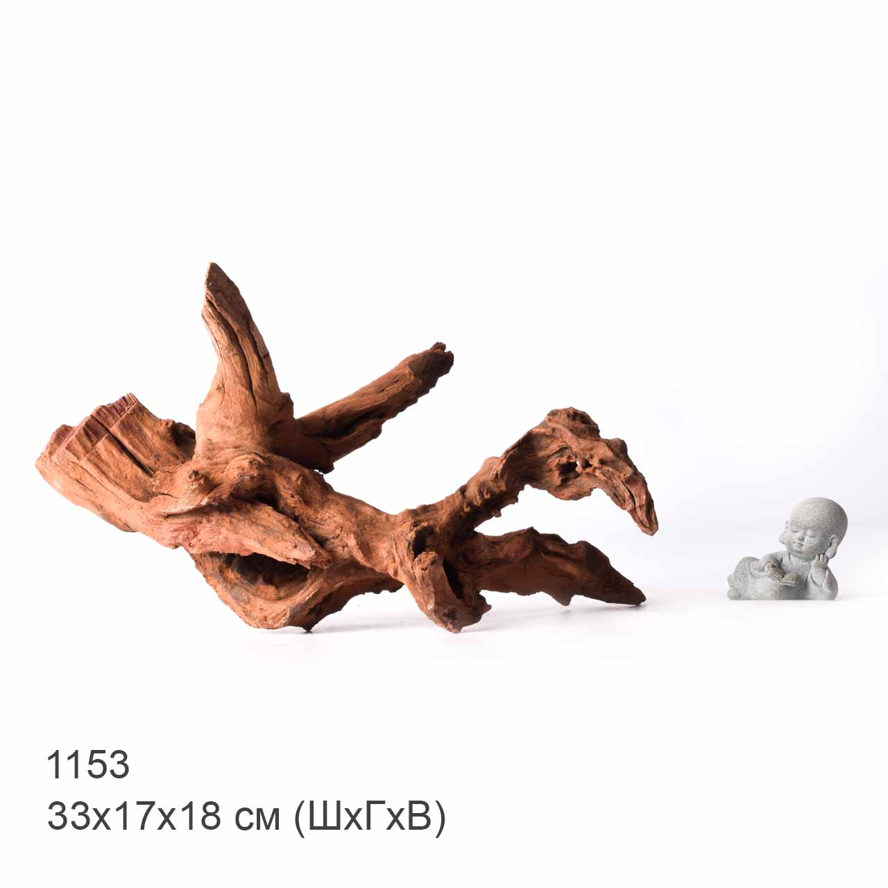 Коряга MASHA BLOOM "Железное дерево" затонувшая мангровая XL - 1153