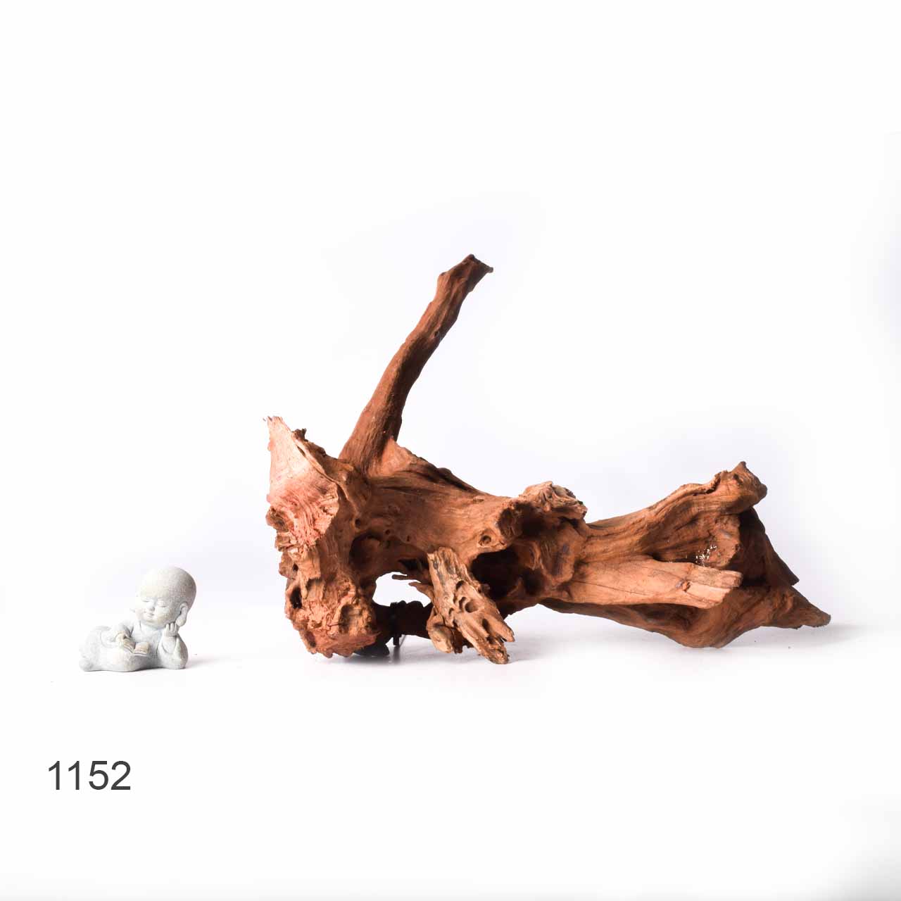 Коряга MASHA BLOOM "Железное дерево" затонувшая мангровая XL - 1152