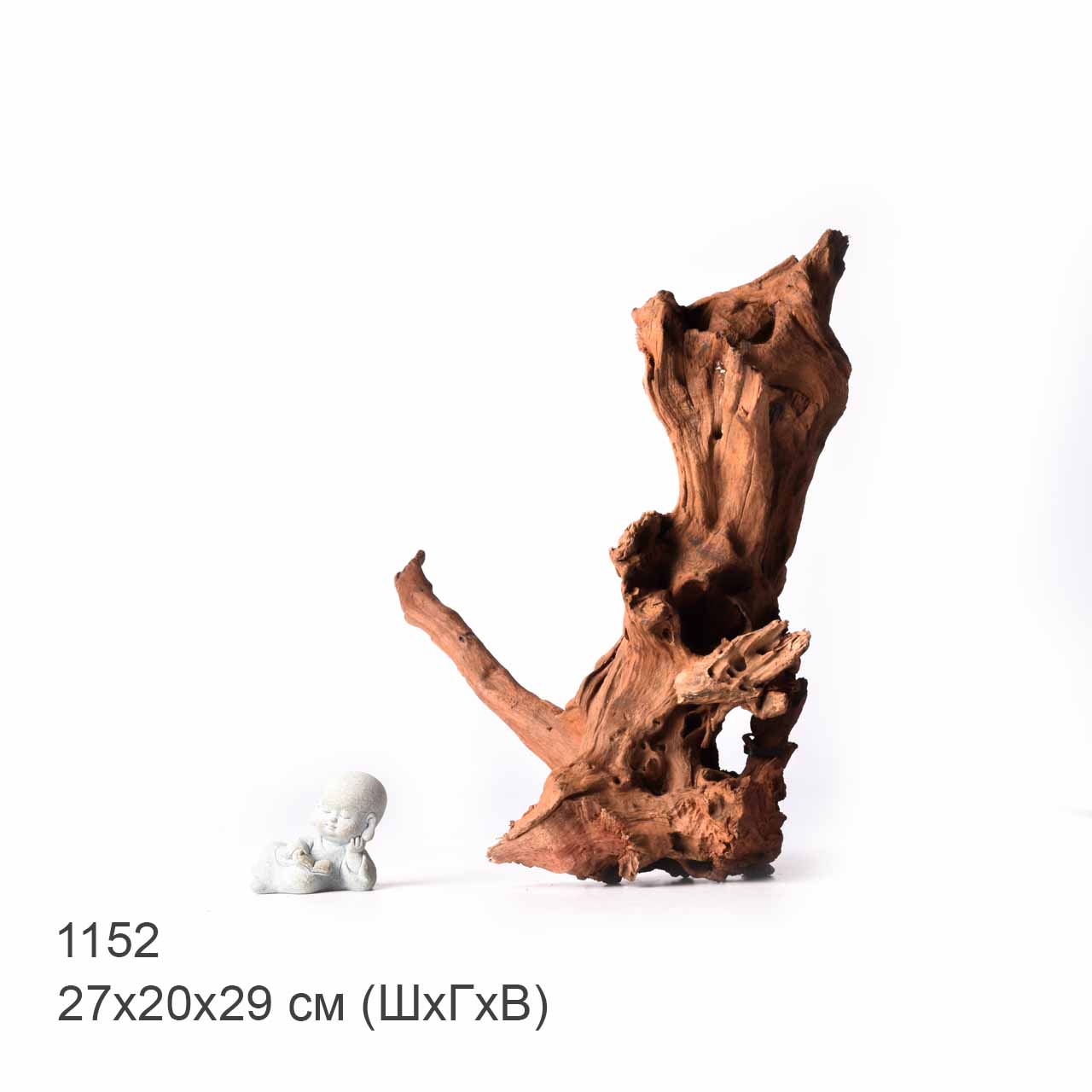 Коряга MASHA BLOOM "Железное дерево" затонувшая мангровая XL - 1152