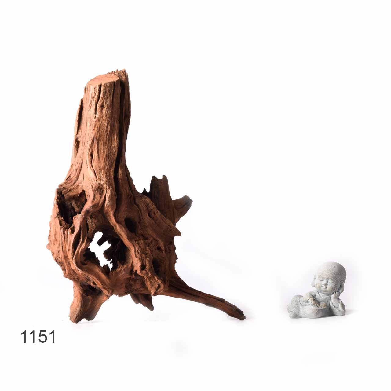 Коряга MASHA BLOOM "Железное дерево" затонувшая мангровая XL - 1151