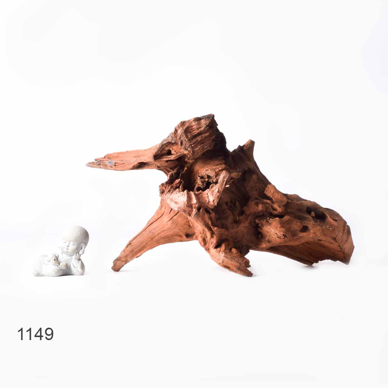 Коряга MASHA BLOOM "Железное дерево" затонувшая мангровая XL - 1149