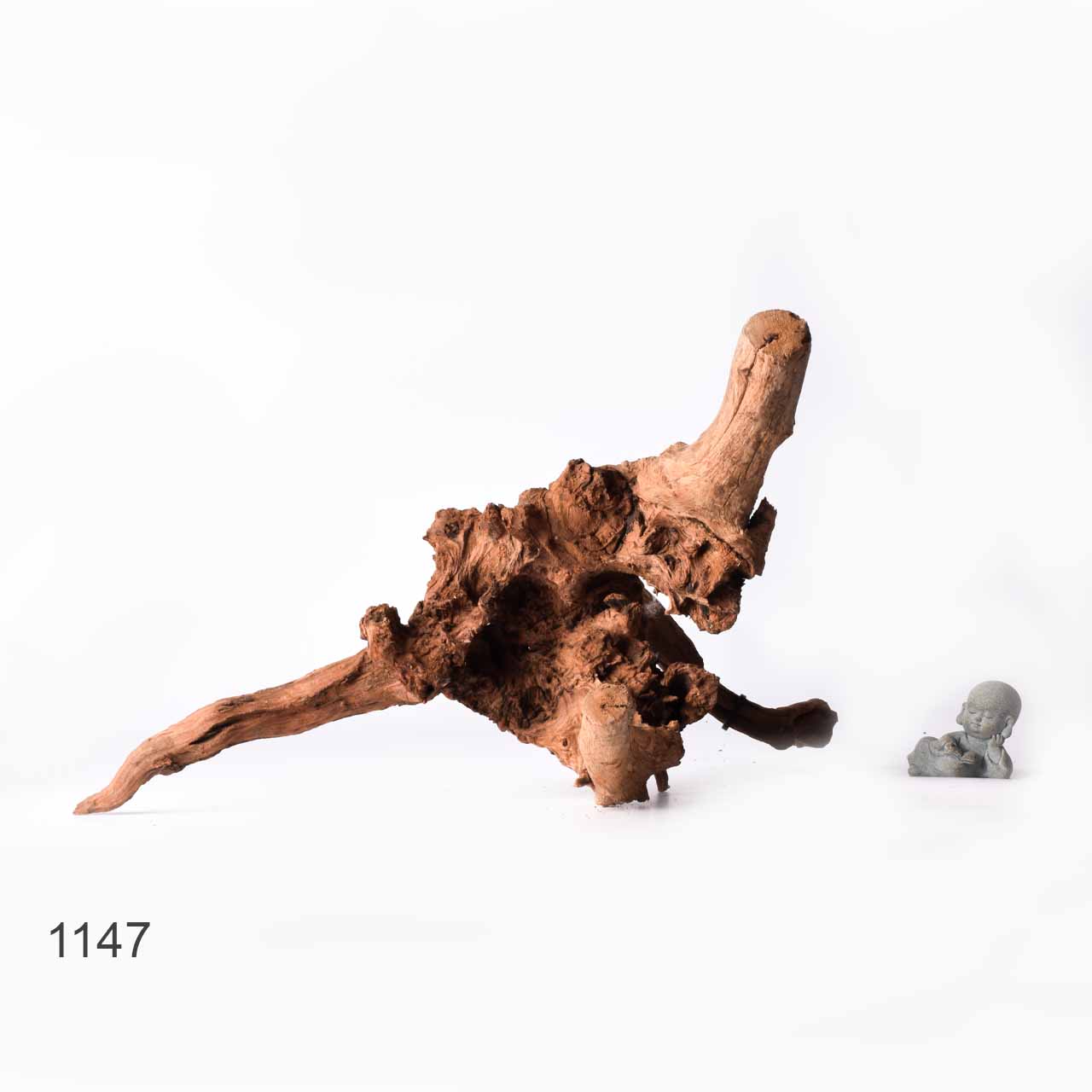 Коряга MASHA BLOOM "Железное дерево" затонувшая мангровая XL - 1147