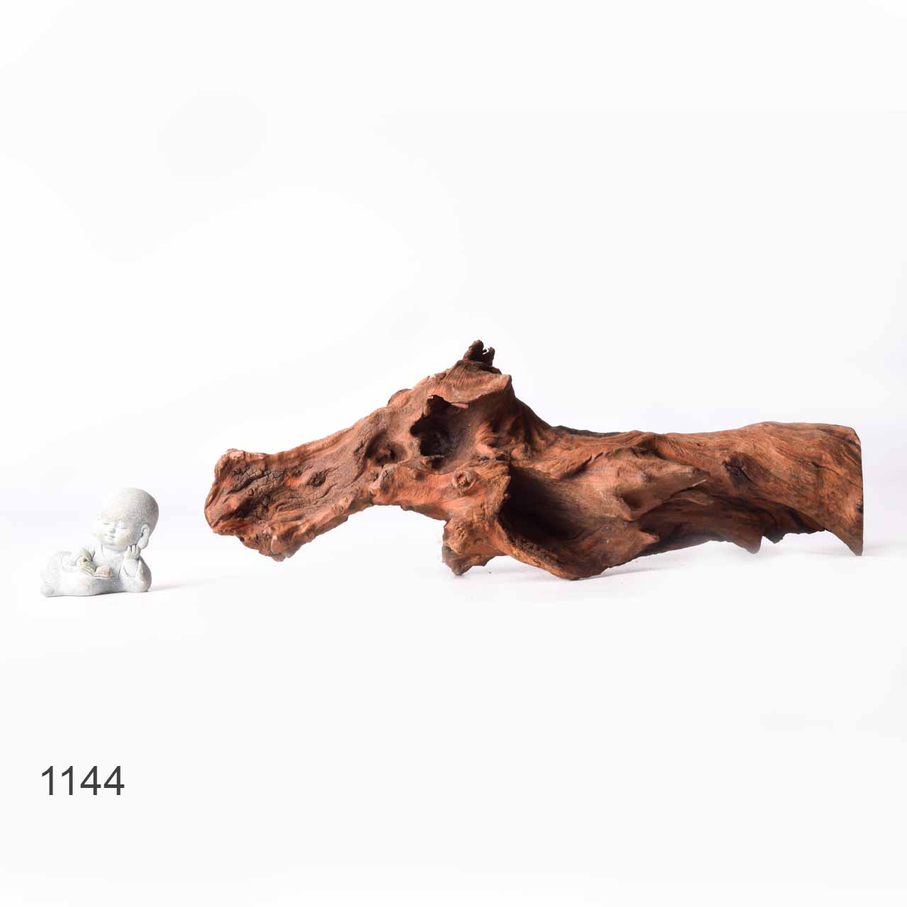 Коряга MASHA BLOOM "Железное дерево" затонувшая мангровая XL - 1144