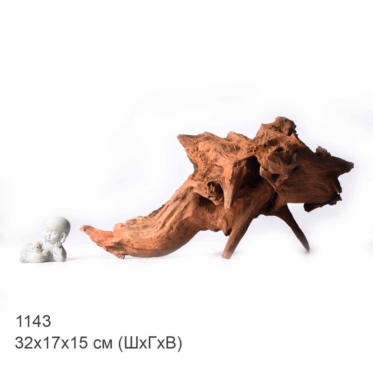 Коряга MASHA BLOOM "Железное дерево" затонувшая мангровая XL - 1143