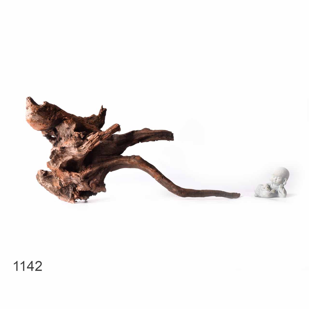 Коряга MASHA BLOOM "Железное дерево" затонувшая мангровая XL - 1142