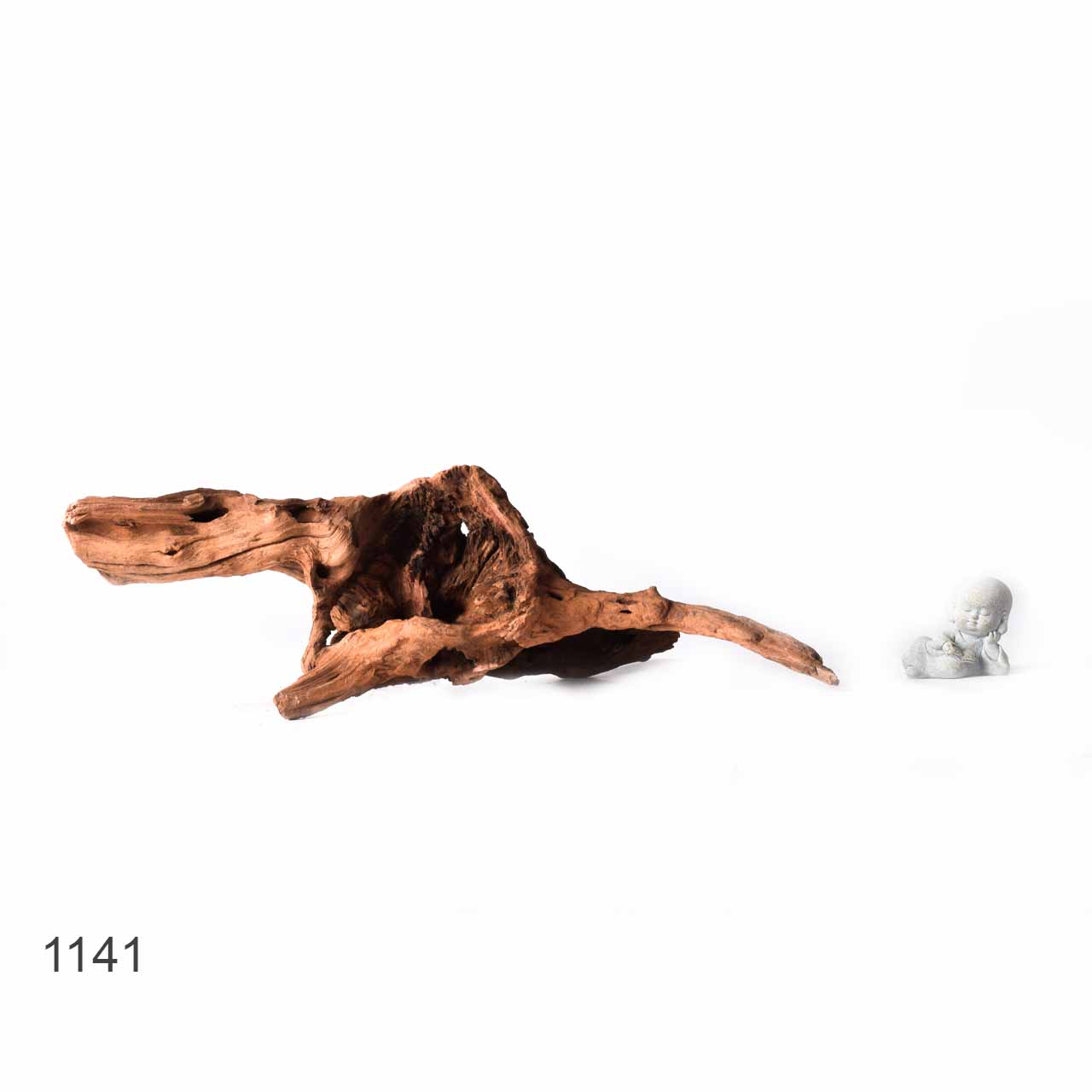 Коряга MASHA BLOOM "Железное дерево" затонувшая мангровая XL - 1141