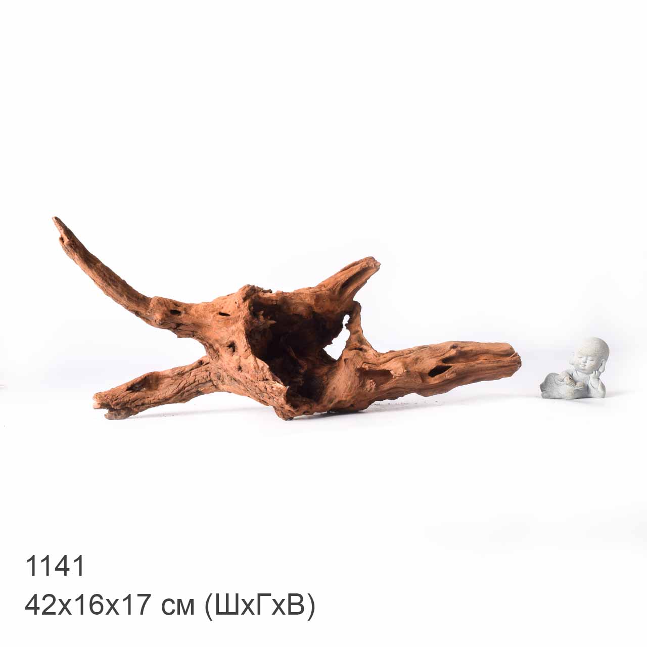 Коряга MASHA BLOOM "Железное дерево" затонувшая мангровая XL - 1141