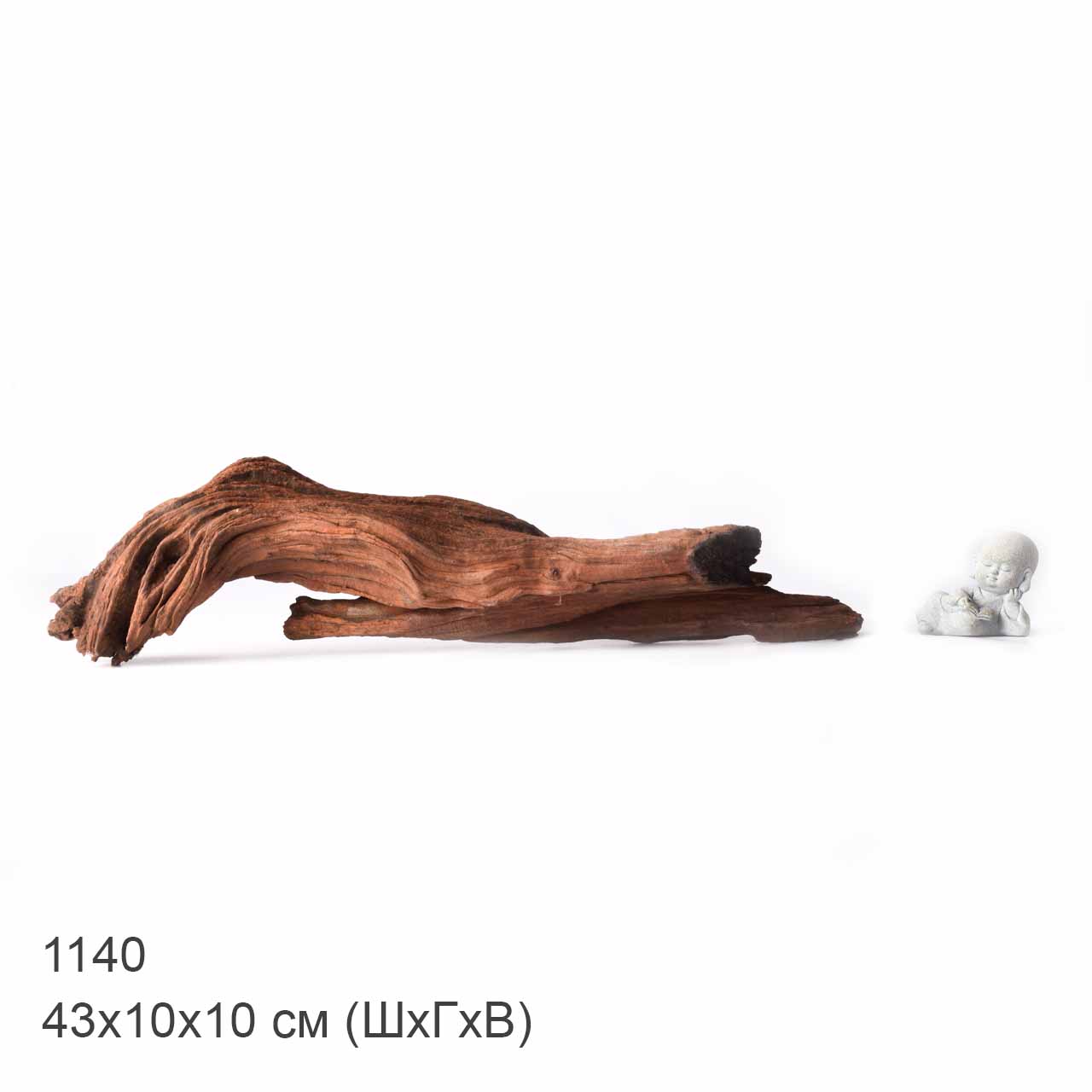 Коряга MASHA BLOOM "Железное дерево" затонувшая мангровая XL - 1140