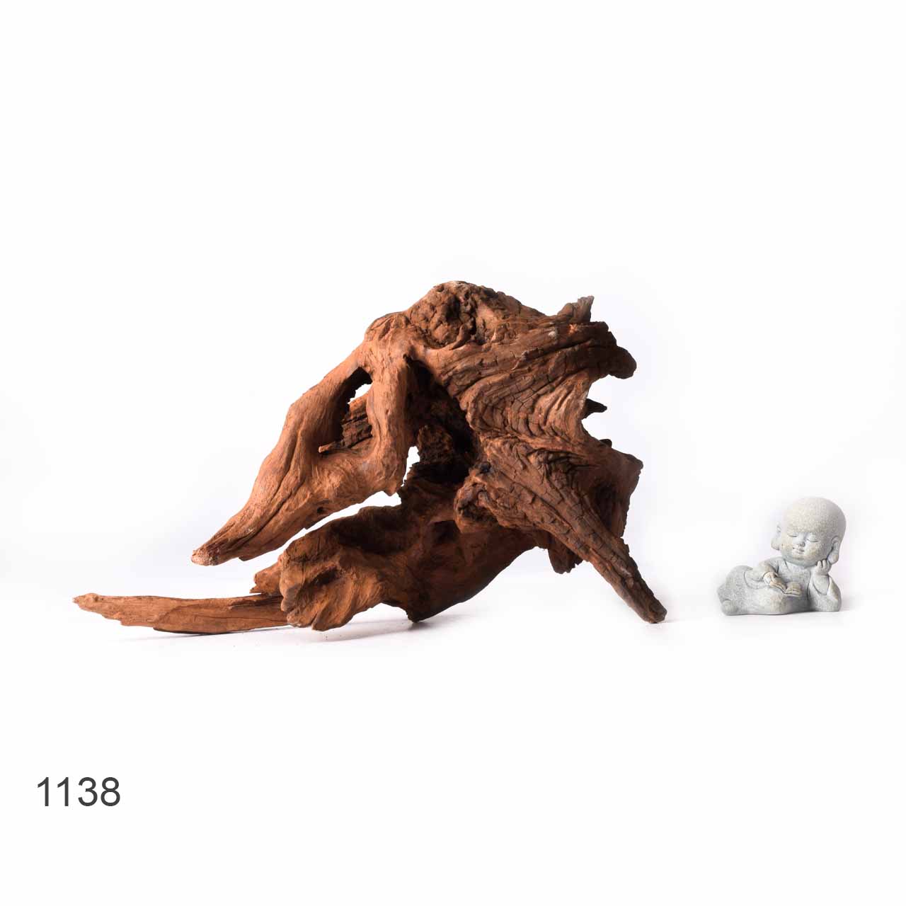 Коряга MASHA BLOOM "Железное дерево" затонувшая мангровая XL - 1138