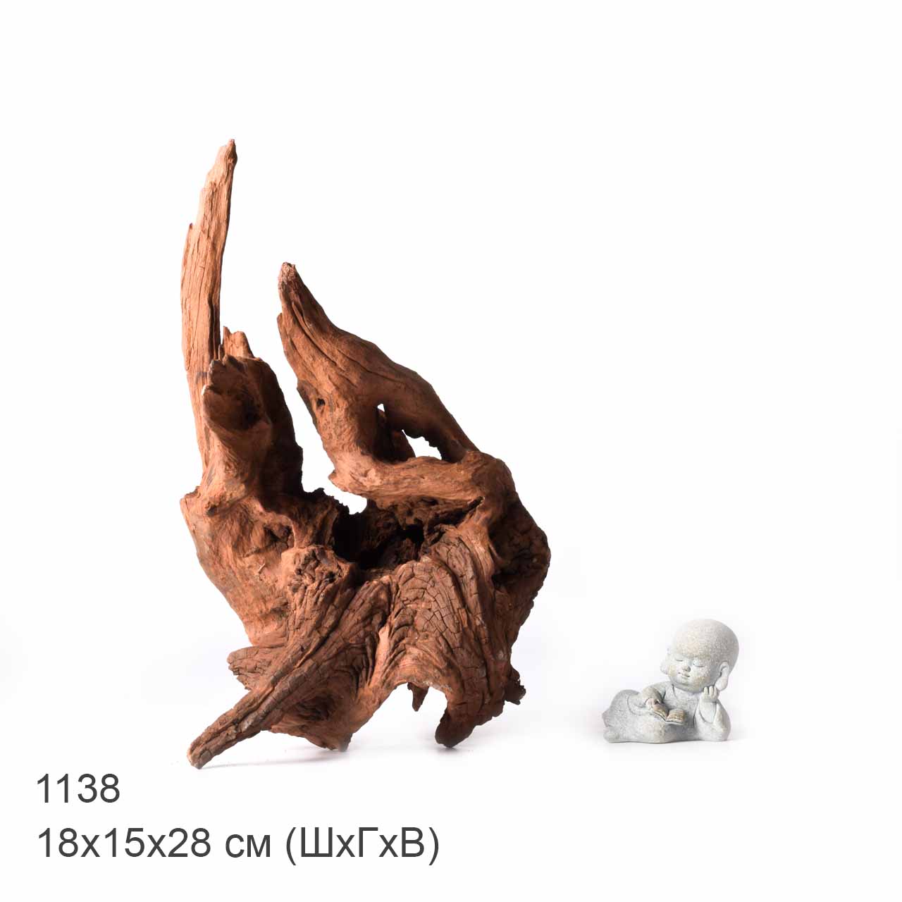 Коряга MASHA BLOOM "Железное дерево" затонувшая мангровая XL - 1138