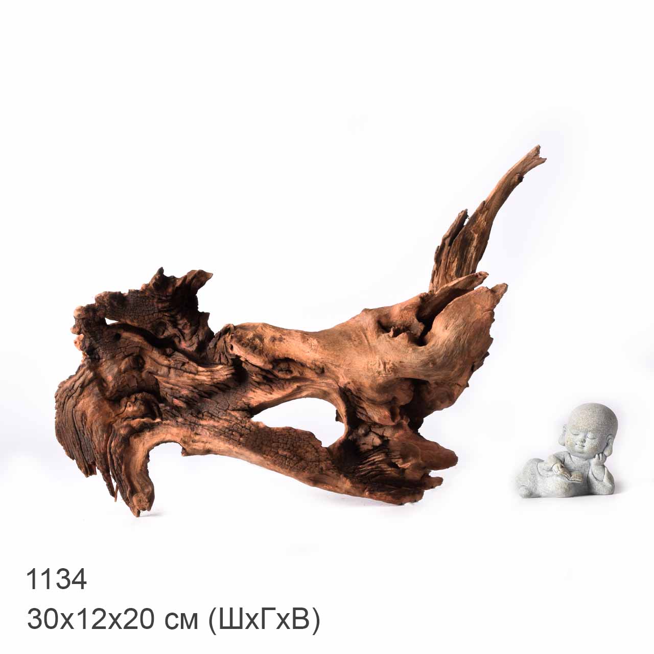 Коряга MASHA BLOOM "Железное дерево" затонувшая мангровая XL - 1134