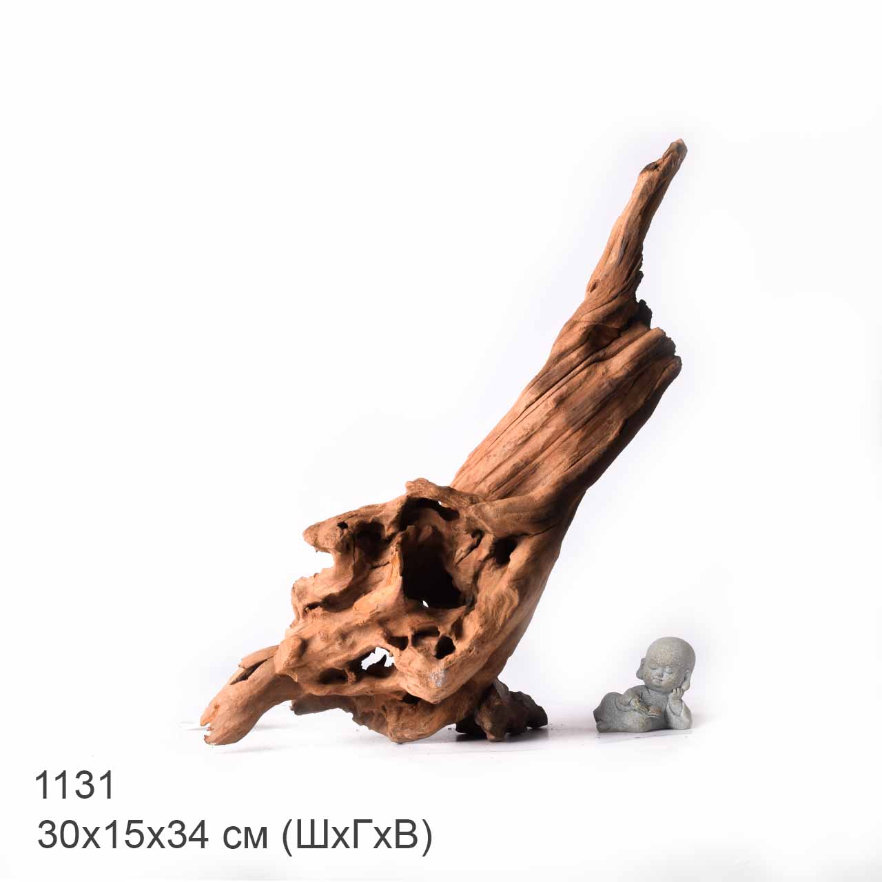 Коряга MASHA BLOOM "Железное дерево" затонувшая мангровая XL - 1131