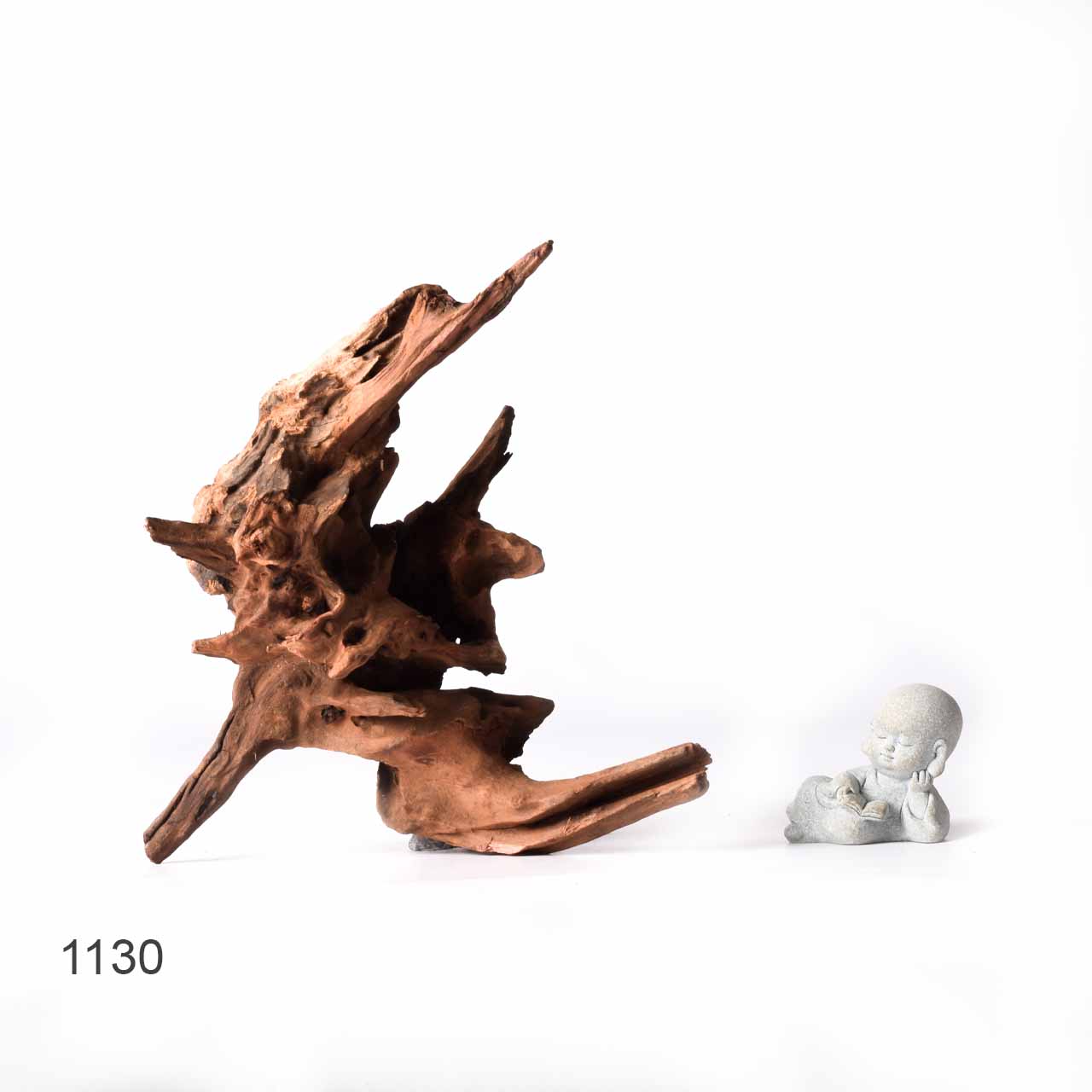 Коряга MASHA BLOOM "Железное дерево" затонувшая мангровая XL - 1130