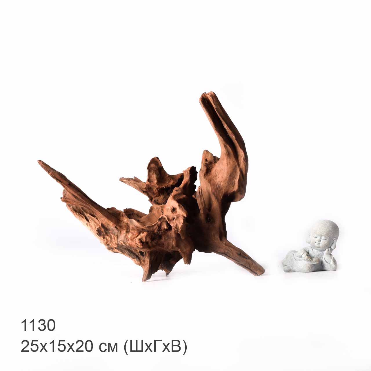 Коряга MASHA BLOOM "Железное дерево" затонувшая мангровая XL - 1130